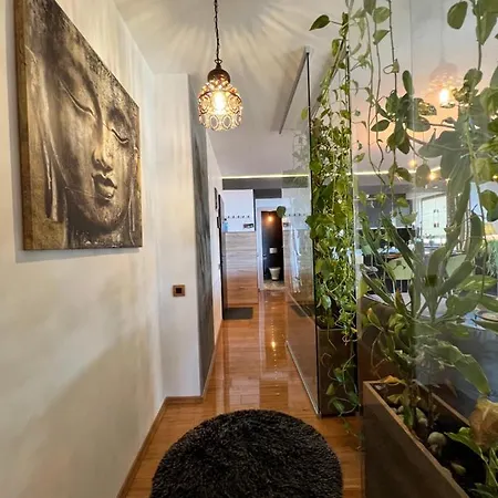 Coroni 4 Cu Terasa Si Panoramica